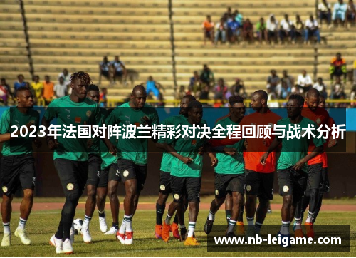 2023年法国对阵波兰精彩对决全程回顾与战术分析 2023年法国对阵波兰精彩对决全程回顾与战术分析