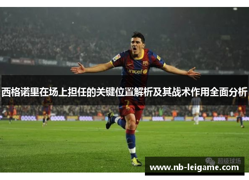 西格诺里在场上担任的关键位置解析及其战术作用全面分析
